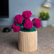 Deep Pink Rose Blossoms